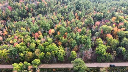 Timberland Property in Portage County, Wisconsin