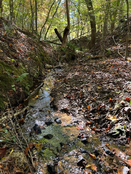 Recreational Property in Cleveland County, North Carolina