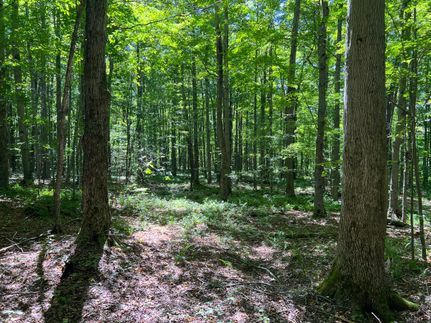 Recreational Property in Warren County, Pennsylvania