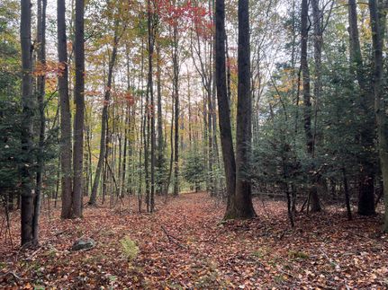 Hunting Property in Crawford County, Pennsylvania