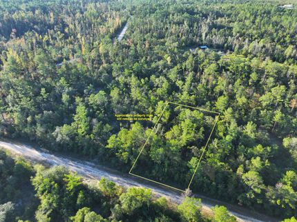 Farm and Ranch in Jackson County, Florida
