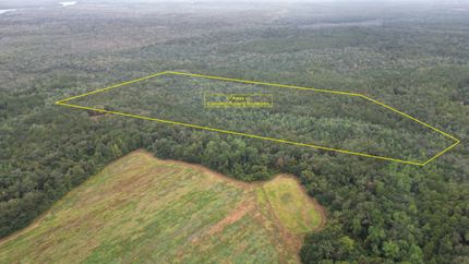 Undeveloped Land in Baldwin County, Alabama