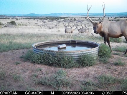 Land in Catron County, New Mexico