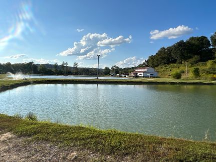 Timberland Property in Gallia County, Ohio