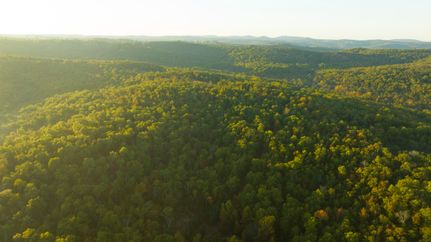 Farm and Ranch in Ozark County, Missouri