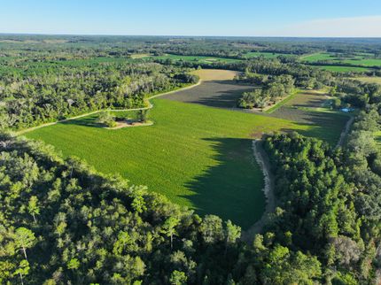 Farm and Ranch in Washington County, Florida