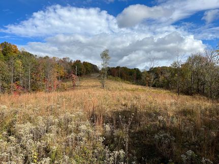 Timberland Property in Meigs County, Ohio
