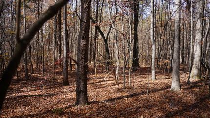 Farm and Ranch in Gaston County, North Carolina