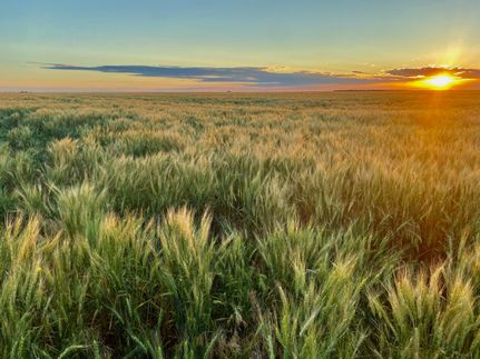 Farm and Ranch in Phillips County, Colorado