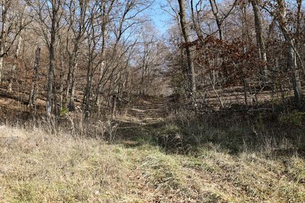 Recreational Property in Pike County, Illinois