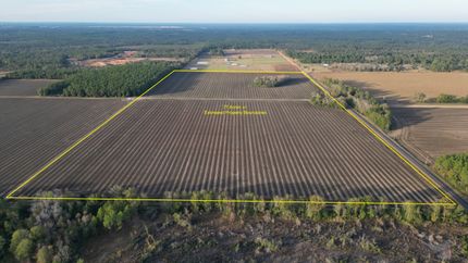 Farm and Ranch in Baldwin County, Alabama