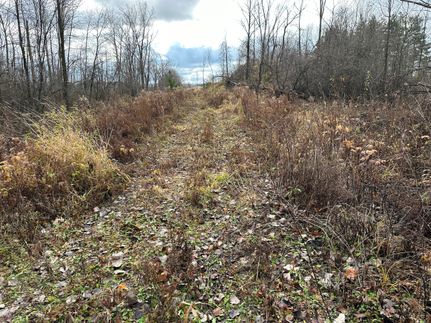 Land in Huron County, Michigan