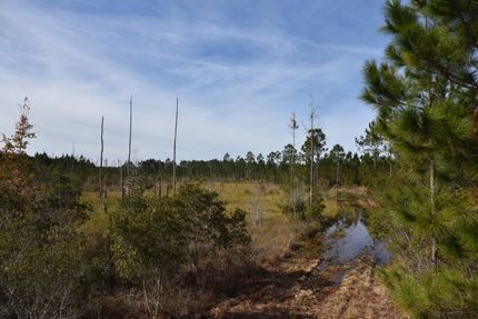 Hunting Property in Alachua County, Florida