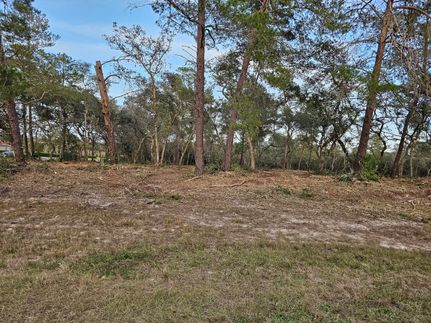 Farm and Ranch in Marion County, Florida