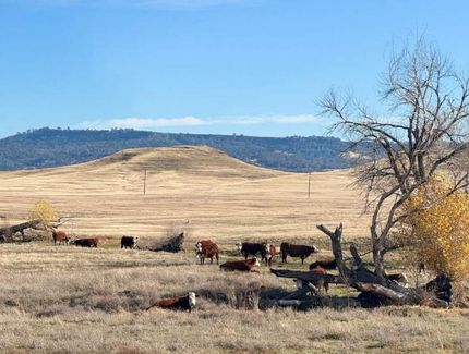 Recreational Property in Butte County, California