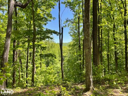 Undeveloped Land in McDowell County, North Carolina