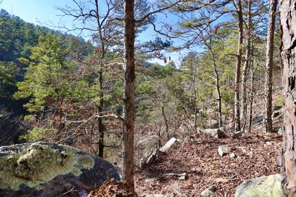 Undeveloped Land in Le Flore County, Oklahoma