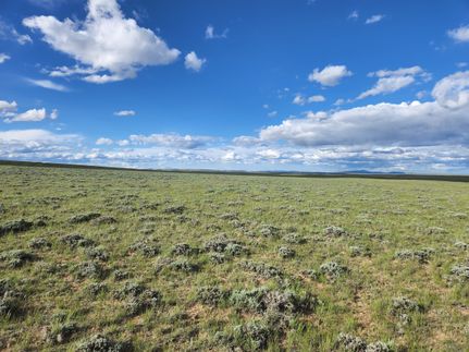 Hunting Property in Albany County, Wyoming