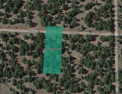 Undeveloped Land in Modoc County, California