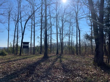Recreational Property in Pickens County, Alabama