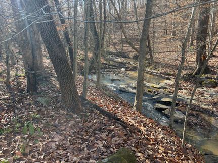 Land in Franklin County, Virginia