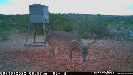 Undeveloped Land in Knox County, Texas