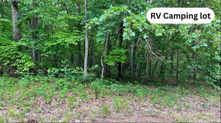 Recreational Property in Benton County, Missouri