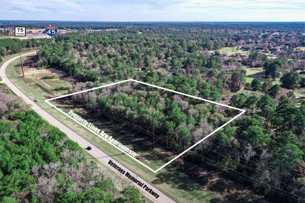 Undeveloped Land in Walker County, Texas