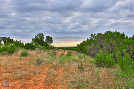 Farm and Ranch in Taylor County, Texas