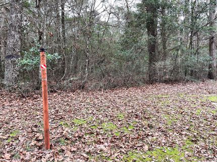 Undeveloped Land in Liberty County, Texas