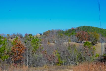 Timberland Property in Calhoun County, Alabama