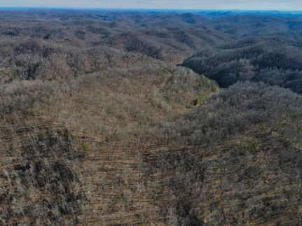 Timberland Property in Johnson County, Kentucky