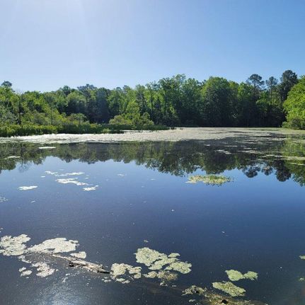 Recreational Property in Bladen County, North Carolina
