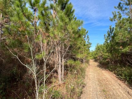 Recreational Property in Bacon County, Georgia
