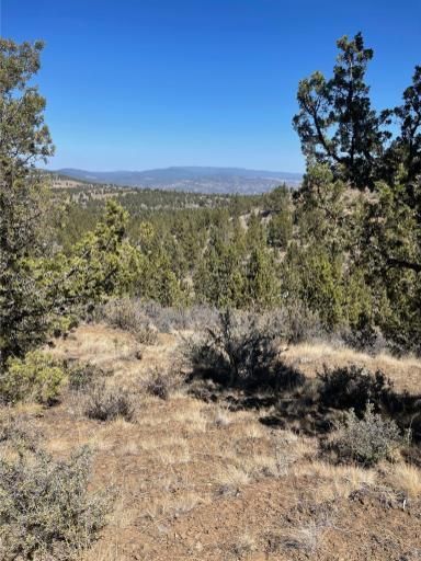 Undeveloped Land in Crook County, Oregon