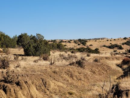 Timberland Property in Huerfano County, Colorado