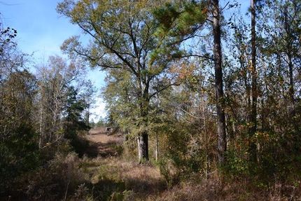 Farm and Ranch in Laurens County, Georgia