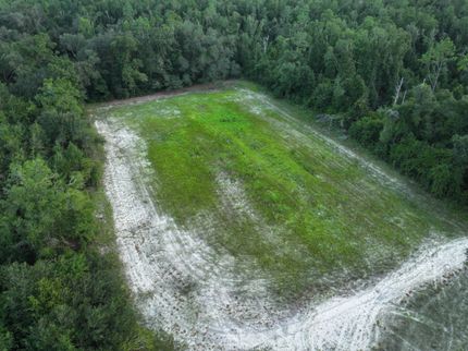 Timberland Property in Jackson County, Florida