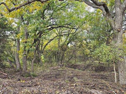 Undeveloped Land in Lampasas County, Texas