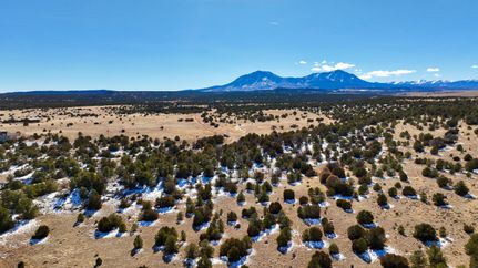 Timberland Property in Huerfano County, Colorado
