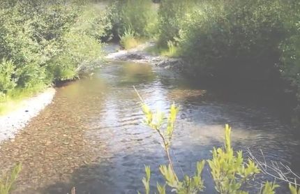 Timberland Property in Fremont County, Idaho