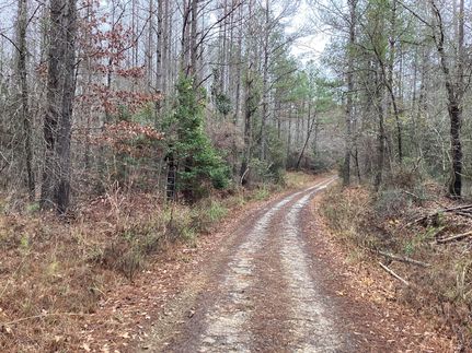 Recreational Property in Crenshaw County, Alabama