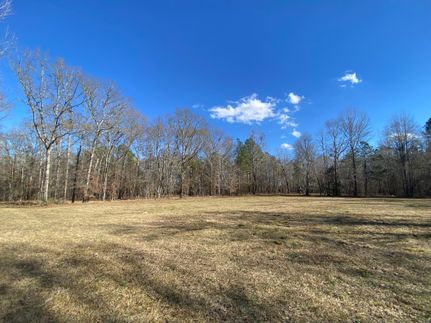Undeveloped Land in Macon County, Alabama