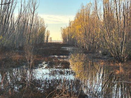 Recreational Property in Concordia Parish, Louisiana