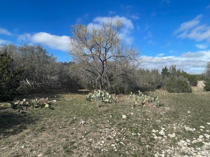 Farm and Ranch in Val Verde County, Texas