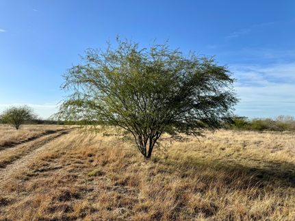 Farm and Ranch in Karnes County, Texas
