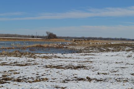 Farm and Ranch in Burt County, Nebraska