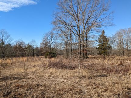Undeveloped Land for sale in Kershaw County, South Carolina