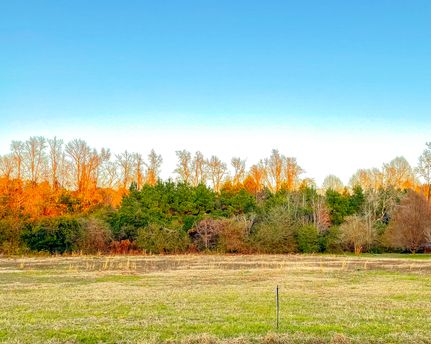 Farm and Ranch in Dillon County, South Carolina