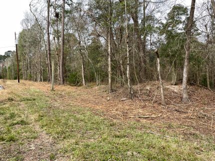 Undeveloped Land in Polk County, Texas